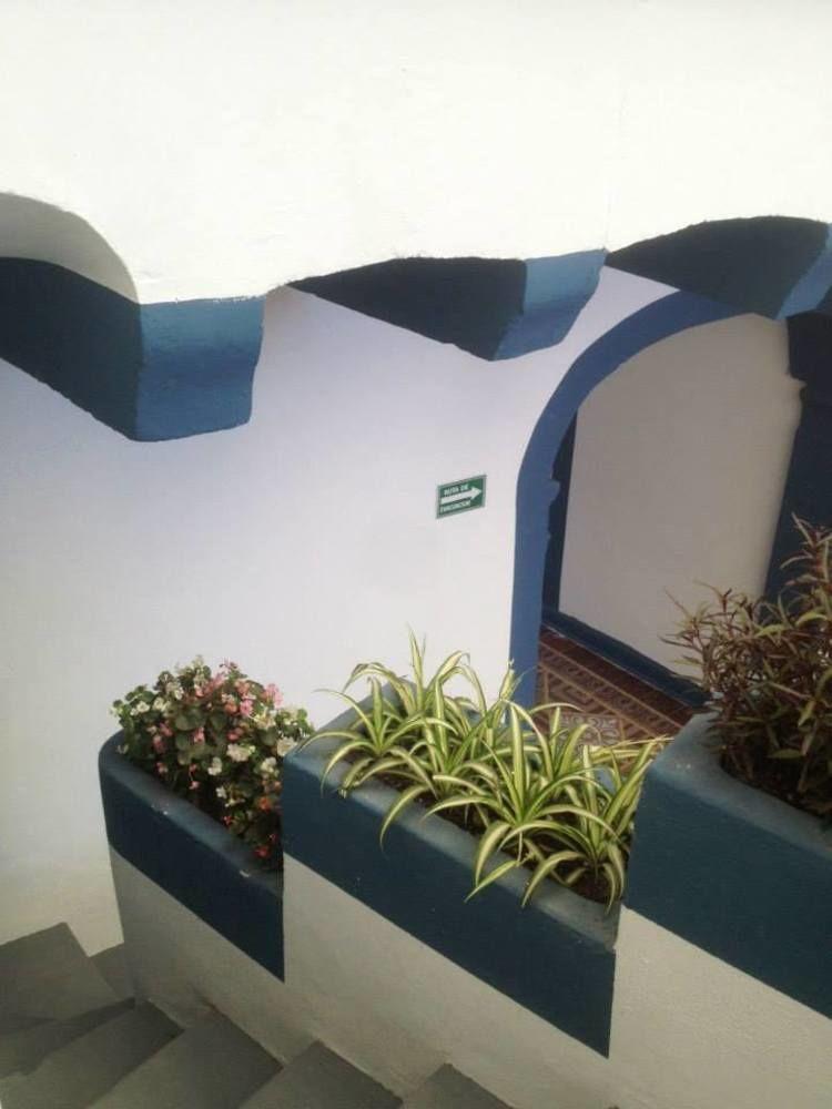 Хостел Blue Bicycle House Керетаро Экстерьер фото